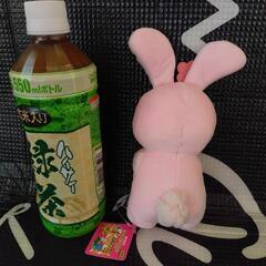 たべっ子どうぶつ　Mサイズぬいぐるみ　うさぎBABYの画像
