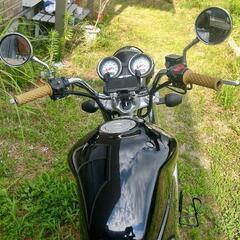 ＶＴＲ２５０の画像