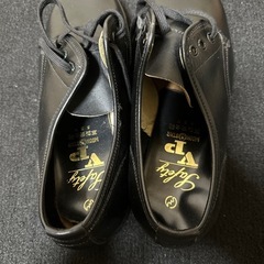 MOONSTAR 革製安全靴25の画像
