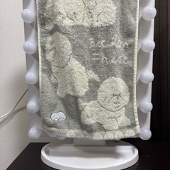 女優ミラーの画像