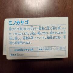 どうぶつ いきもの図鑑かるた 海の画像