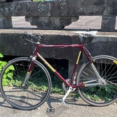 schwinn madison 完成車の画像