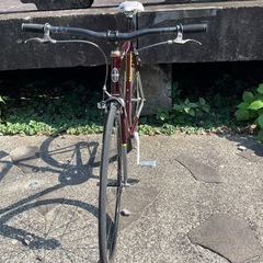 schwinn madison 完成車の画像