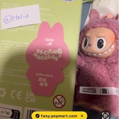 【正規品証明有】THE MONSTERS Macaron ぬいぐるみ ライチ ベリー ラブブ POPMARTの画像