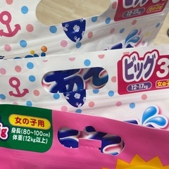 水遊び用パンツ　BIGサイズ ９枚セットの画像
