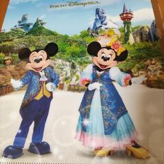 ディズニーシー　ファンタジースプリングス非売品クリアファイル＆ディズニーシーボールペンセット　アナ雪ピーターパンリメンバー・ミーの画像