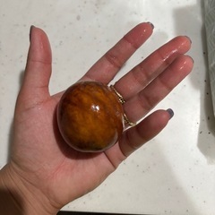 苗 種 果樹 野菜苗 園芸用品 譲ってください