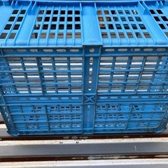 岐阜プラスチック(リス)物流コンテナプラスケットNo.1100 1個1800円の画像