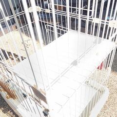 アイリス　キャットゲージ2段の画像
