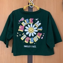 新品  ショート丈 Tシャツ Mサイズの画像