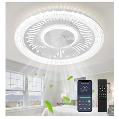 シーリングファンライト
