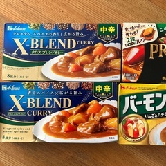 カレー粉4個　未開封の画像