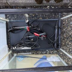 （お話し中）水槽の画像