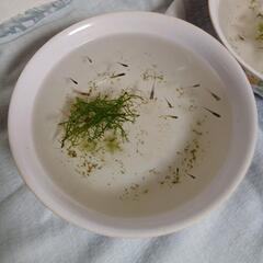 メダカの画像