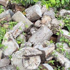 冬に向けて薪のヘビーユーザー２年乾燥ドンコロ
の画像