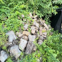 冬に向けて薪のヘビーユーザー２年乾燥ドンコロ
の画像