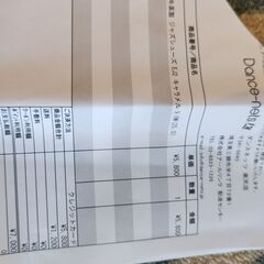 25cm￥ 500 演舞で数回着用（送料含む7000円）カペジオダンスシューズ の画像