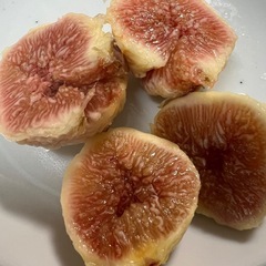 【朝取れ・無農薬 】いちじく 5個の画像