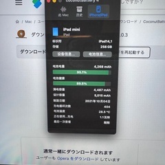 iPad mini 6世代　256GB 紫の画像