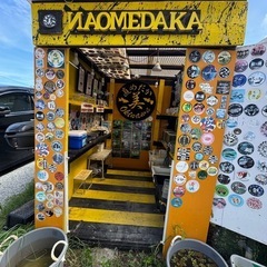 1匹　100円　ミックスめだか追加しました！の画像