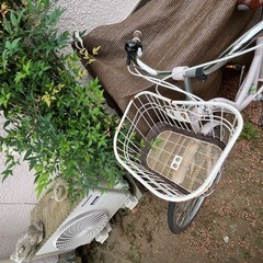 自転車　26インチの画像