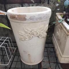 ミニバラの鉢植えの画像