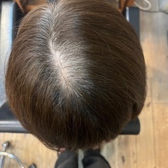 8/21 (木)  ✨白髪染めリタッチモデル募集中✨