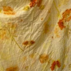 季節を染める草木染めlessonの画像