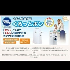 くるっとぽん　ミディアムの画像