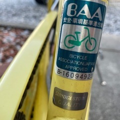 自転車　女の子の画像