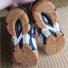 本日限定。mizuno　シューズの画像