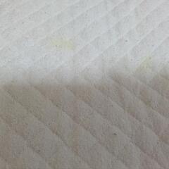クーファンの画像