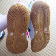 本日限定。mizuno　の画像