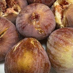 【朝取れ・無農薬】いちじく　5個の画像