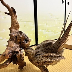 鳥の置物の画像