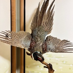鳥の置物の画像
