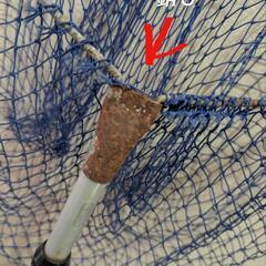 魚釣りの時使った網 長さが伸縮する 網 の画像