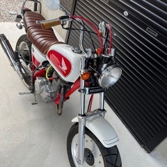 エイプ100DXの画像