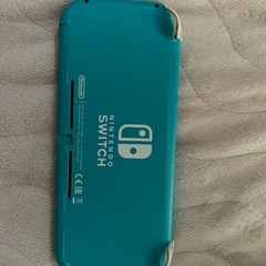 お盆限定価格 SwitchLight  ソフト付きの画像