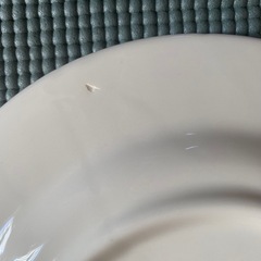★used★イタリア製4枚セット皿の画像