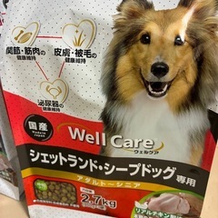 ウェルケア　ドッグフード　５セットの画像