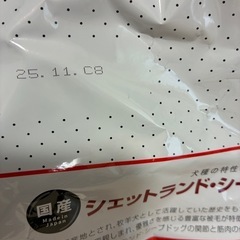 ウェルケア　ドッグフード　５セットの画像