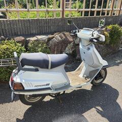ヤマハ　シグナス125の画像