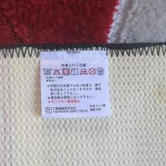 カーペット　マットの画像