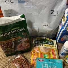 犬の介護用セット、中古品。無料です。の画像