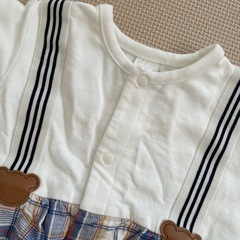 Cottoli 80cmの画像