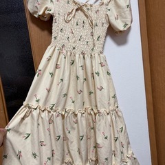 柄物のドレスの画像