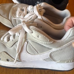 NIKEとスケッチャーズの画像