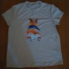 Tシャツの画像