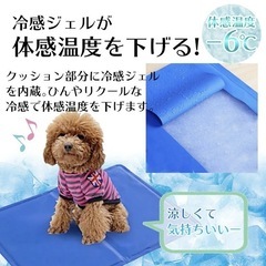 『美品』冷却マット 65×50　ペットの画像